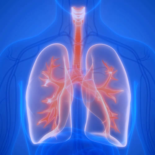 cirugía pulmonar